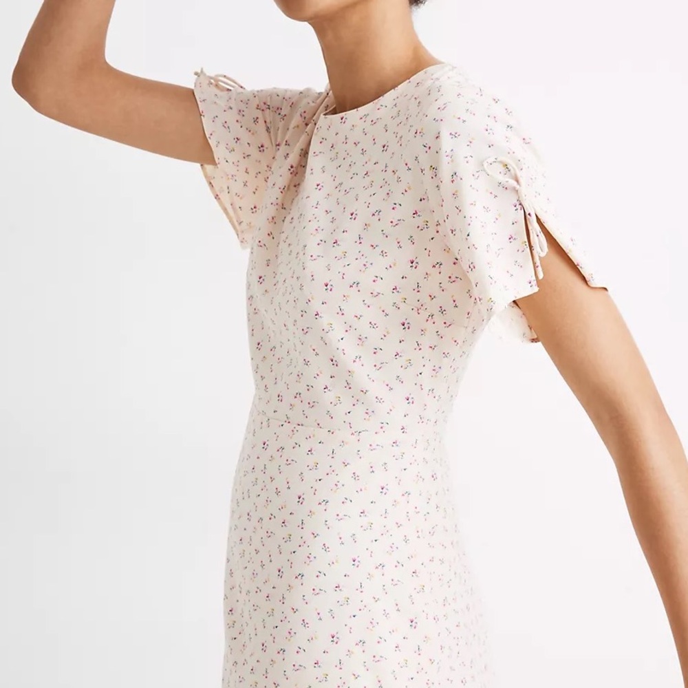 Madewell Dutch Dandelions Dress